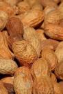 ROASTED PEANUTS IN SHELL 1KG