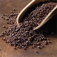 BLACK/ BROWN MUSTARD SEEDS 1KG