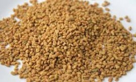 FENUGREEK SEEDS 1KG