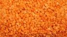 ORGANIC SPLIT RED LENTILS 1KG